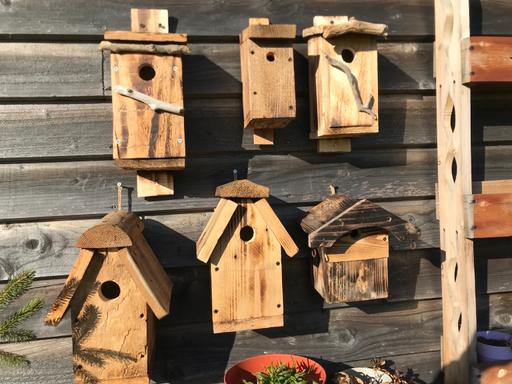 Buy & Sell West Yorkshire Leeds - Photos for Bird boxes