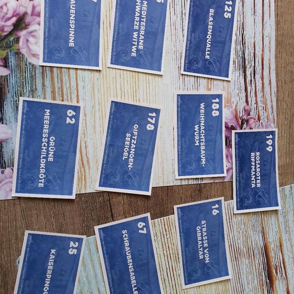 Spar Sticker Atlantis in 9800 Spittal an der Drau für gratis zum