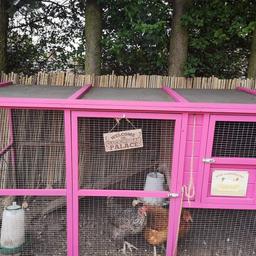 Chicken coop for sale. Houses up to 6 chicks, comes with two nest boxes and a perch. It is painted bright pink but can be repainted. Please note that part of the coop was dug into the ground so the paint doesnt go all the way to the bottom of the coop.
The lock is broken on the door but can be easily fixed. The pulley string that separates the bottom from the top can be stuff and may need the rope replacing.
Collection only
Chicks  not included!