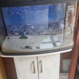 RADCLIFFE 
🐡READ ALL DESCRIPTION🐠
🐙PRESS FOLLOW ON MY PROFILE🐟
RADCLIFFE 
New items added every week
OVER 150 ORNAMENTS AVAILABLE
ASK FOR INFO
£40
64 litre pets at home
Lights work
Glass scratched a bit
Cupboard could do with sorting out
LOOK AT OTHER ITEMS 
RADCLIFFE 
Facebook PAGE "Tropical tanks and more"
OTHER ITEMS AVAILABLE5
Delivery at extra cost