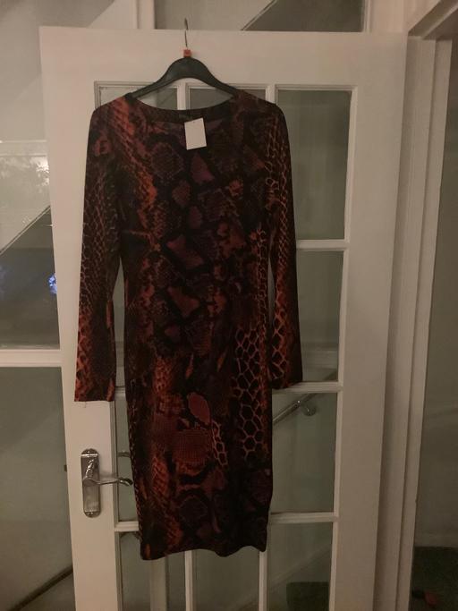 Buy & Sell South East London Bromley - Photos for Animal print dress by Stella 10