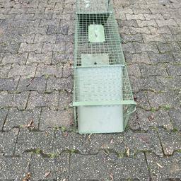 Katja Krasavice Sextoy für Männer in 97837 Erlenbach b.Marktheidenfeld für  20,00 € zum Verkauf