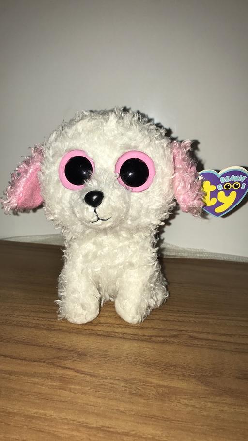 Buy & Sell Gloucestershire South Gloucestershire - Photos for TY beanie boos dog - diva. Rare