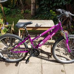 excellent condition 
everything works as it should 
24" wheels 
14" frame 
21 speed gears
