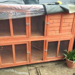 Collection only good home only complete friendly rabbits