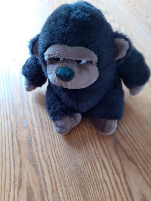 Buy & Sell Cambridgeshire Fenland - Photos for Gorilla Soft Toy