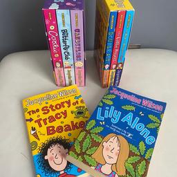 Jacqueline Wilson book box sets 

Over £55 worth

In great condition