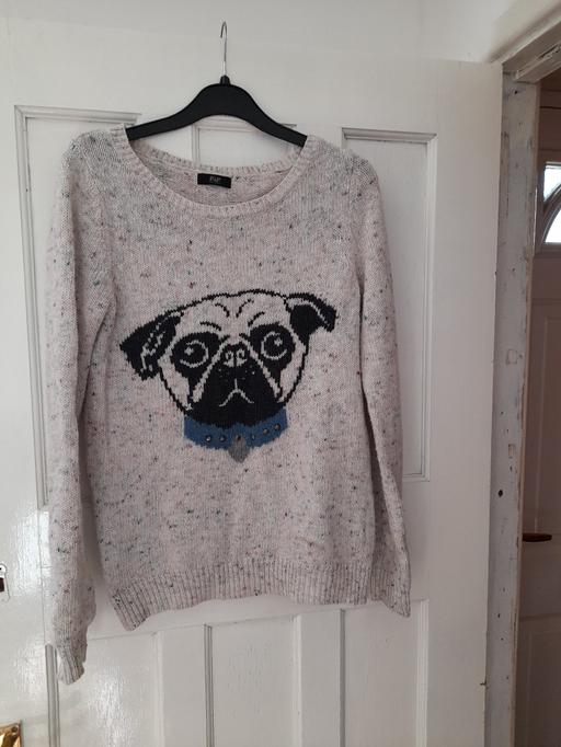 Buy & Sell Essex Colchester - Photos for Ladies pug jumper size 6