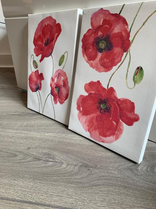 Buy & Sell South West London Lampton - South West London - Photos for Red and white Canvas