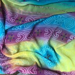 blue multi coloured saree. Lightweight & pretty embroidery with sequences. Not sure where I’ve misplaced the short sleeve blouse