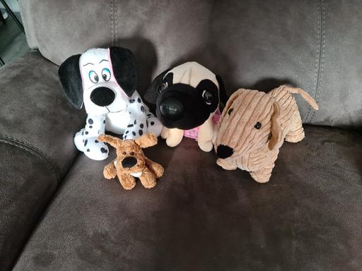 Buy & Sell Essex Basildon - Photos for Soft toy Dogs