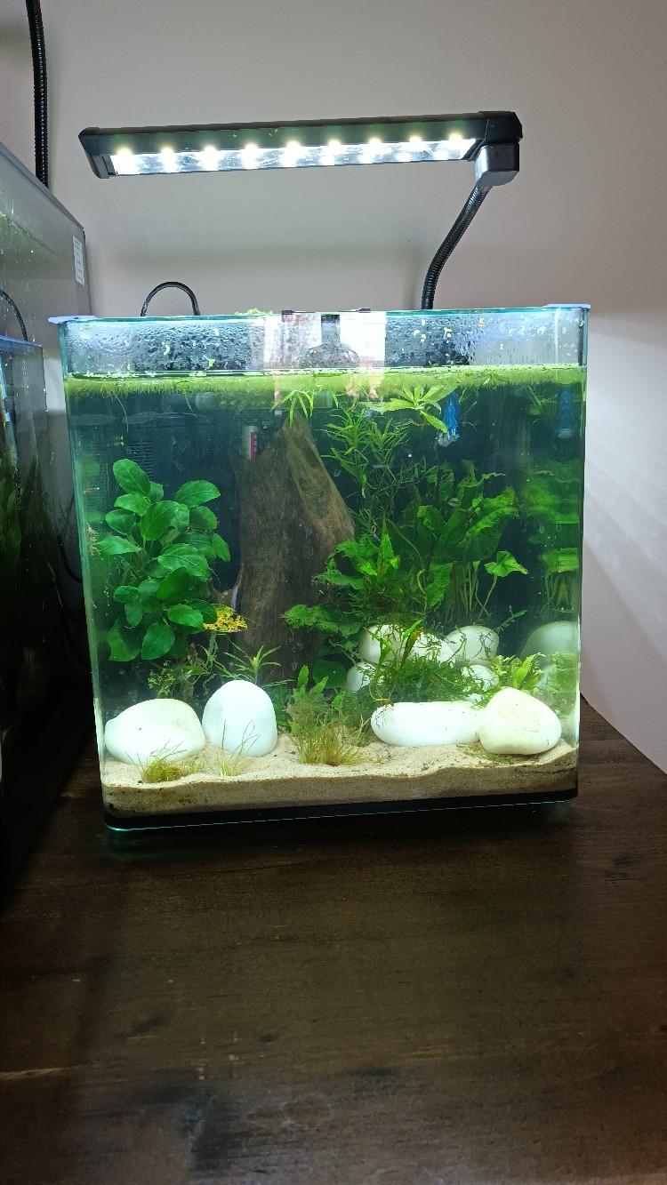 aqua one aqua aspire 30 aquarium in DN4 Doncaster for £25.00 for sale