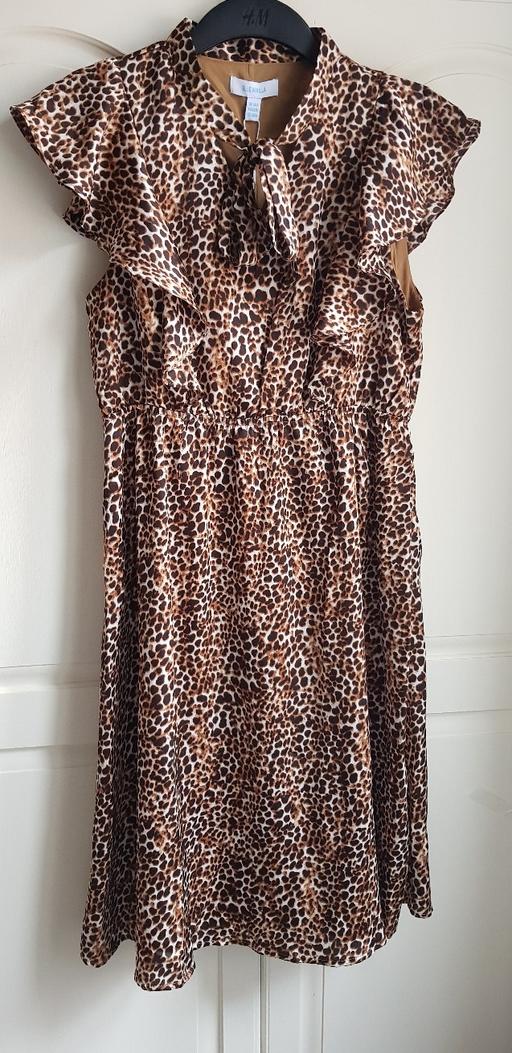 Buy & Sell West Midlands Birmingham - Photos for Ladies - Animal Print Dress