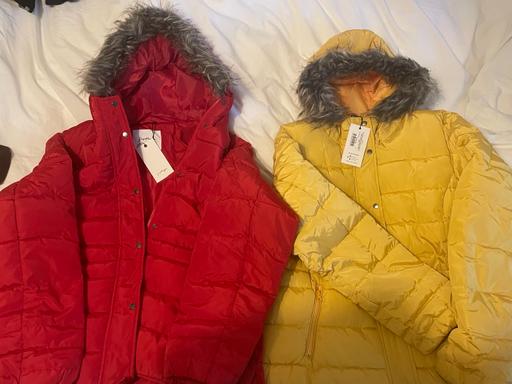 Buy & Sell South West London Clapham - South West London - Photos for 2x Brand New Padded Coats - Size 14