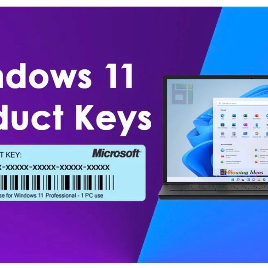 Windows 11 Pro Product Keys in W10 Chelsea for £25.00 for sale Shpock