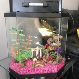 Fish tank with gravel, light,accessories and pump can buy filter for pump from Amazon or pet shop in excellent condition
I have a double rabbit hutch in excellent condition if anyone is interested