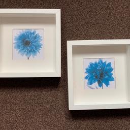 2 floral pictures in box frames