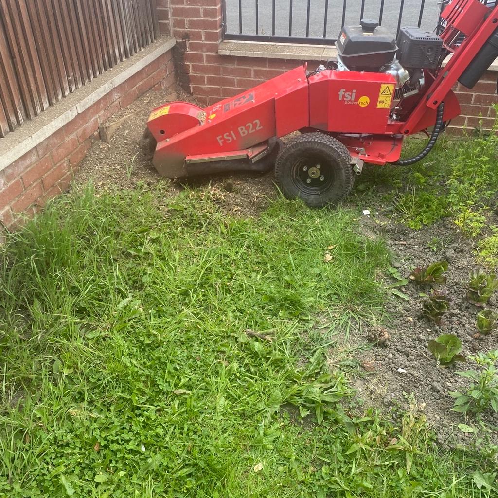 Stump grinding/removal service, competitive pricing, call or message on here for a free quotation, 07782203717