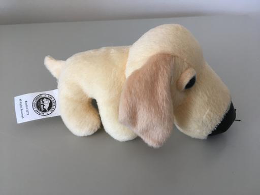 Buy & Sell North Yorkshire Scarborough - North Yorkshire - Photos for CREAM DOG SOFT TOY BY ARTLIST