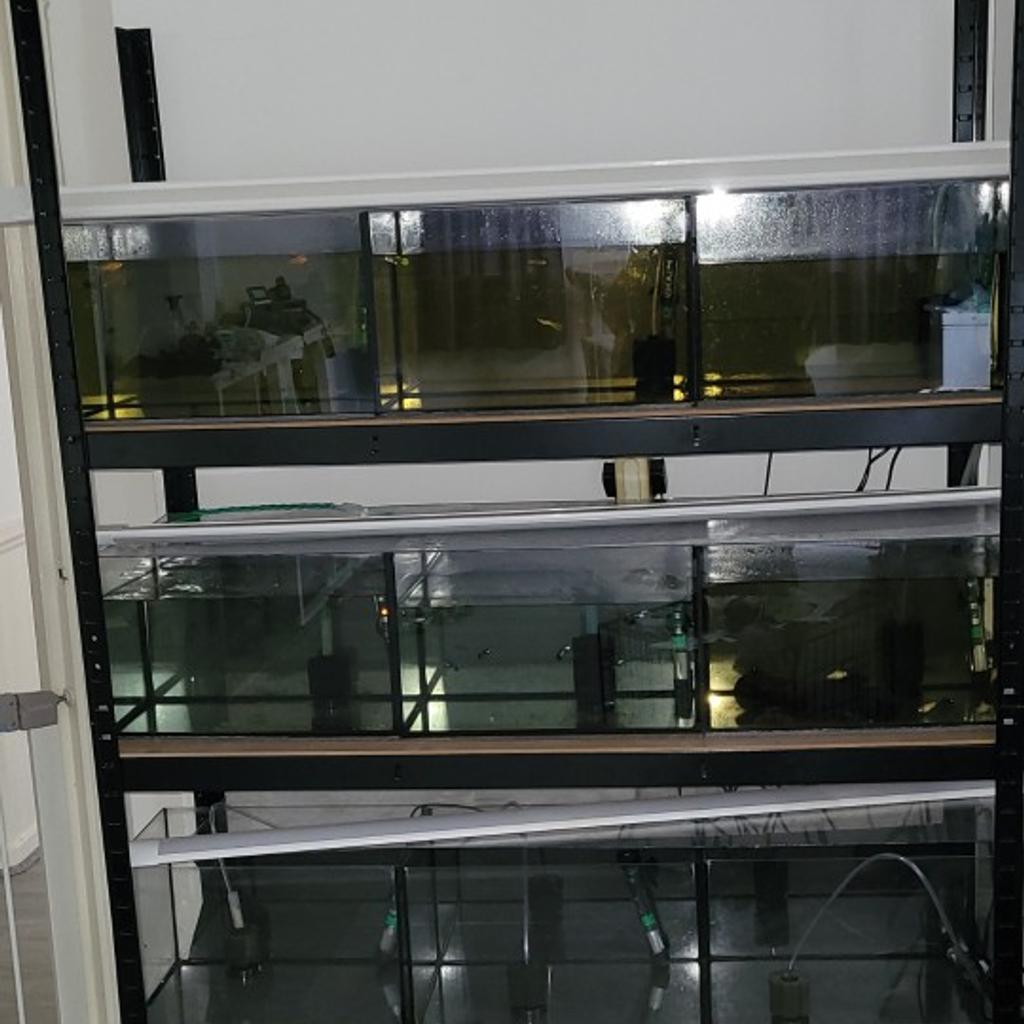 fish racking system tanks in E2 Hamlets für £ 400,00 zum Verkauf ...