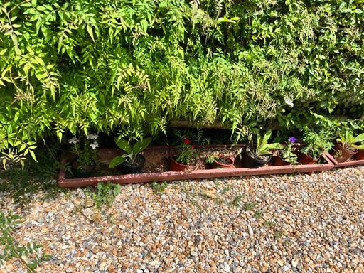 Buy & Sell Kent Maidstone - Photos for vintage cast iron troughs planters x 2 herb