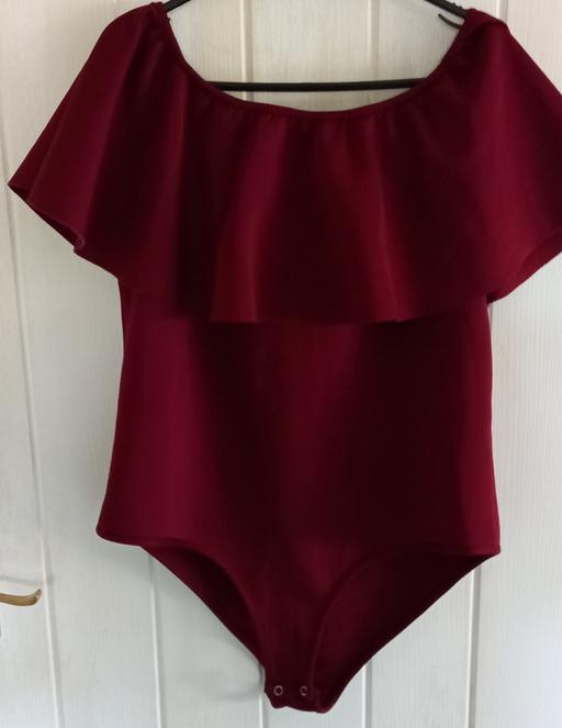 Buy & Sell Pembrokeshire - Wales Clarbeston Road - Pembrokeshire - Photos for Ladies Bodysuit - Size 16 UK. Brand new