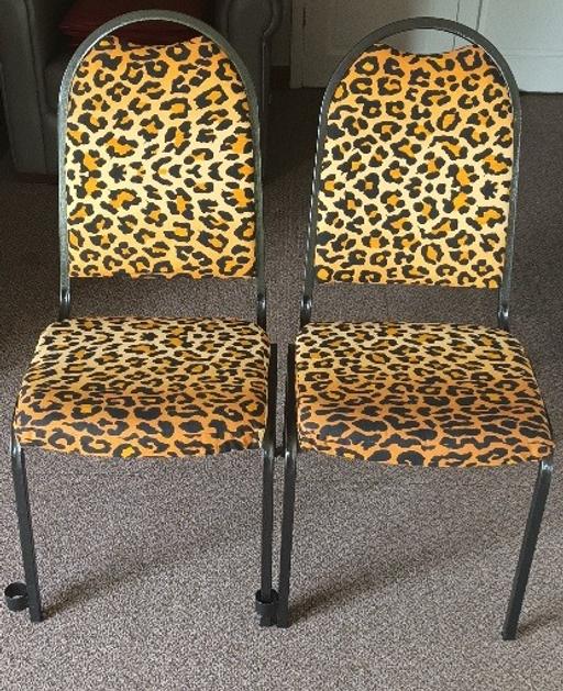 Buy & Sell Kent Maidstone - Photos for Pair Leopard Print Chairs