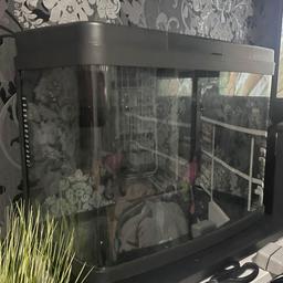 Panorama fish tank. With filter,  light, couple of plants. Aquarium sand, net, and algae scrubber collect s20