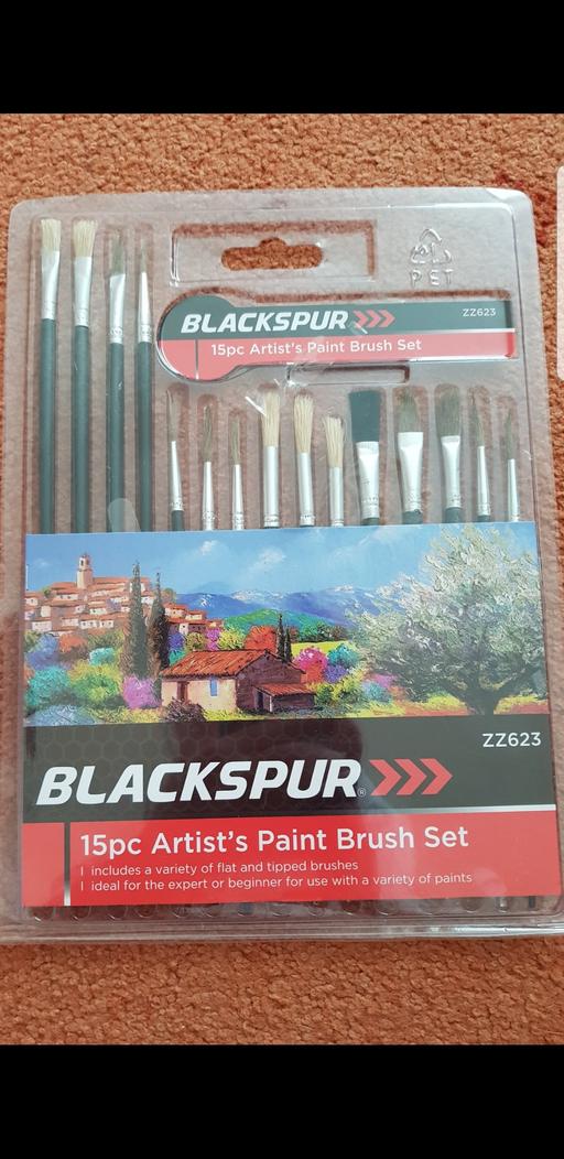 further learning Lancashire Blackpool - Photos for 15 Piece Artist paint brushes BNWT