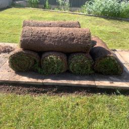 I have 5 fresh grass turf rolls