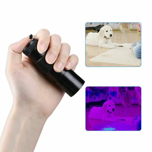 Buy & Sell Cornwall Bugle - Cornwall - Photos for 12 LED ULTRA VIOLET BLACKLIGHT UV TORCH