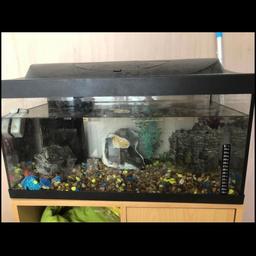 Fish tank for sale with ornaments and gravel filter selling as don’t need it anymore 
2ft long 1ft wide 1ft hight will deliver for £2 all depends how far you are