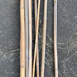 Bundle of Bamboo Caines approx 12 in Total Many of These are around 6 foot to 8 Foot in Length. Garage Clearance.