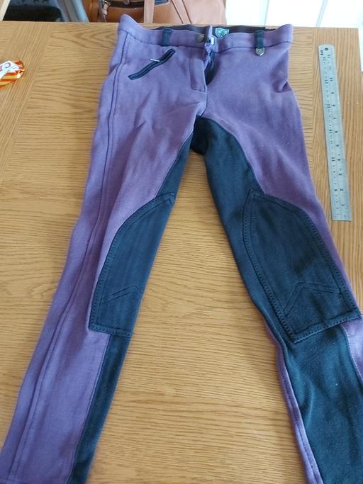 Buy & Sell Kent Ashford - Photos for girls jodhpurs