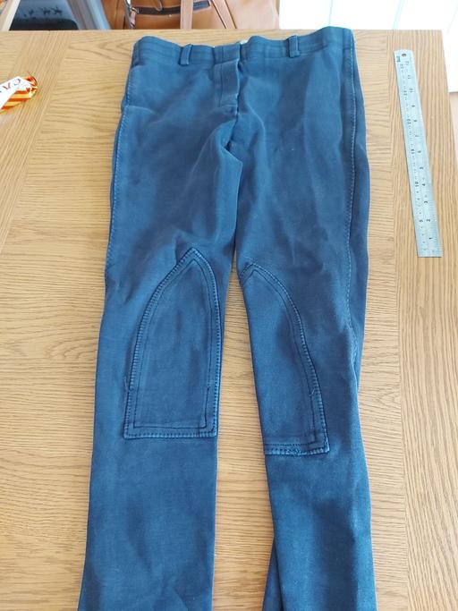 Buy & Sell Kent Ashford - Photos for girls jodhpurs