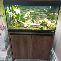 Fluval roma 125 full set up comesas seen in pics does have a few light scratches to glass from cleaning nothing major 

3D Backhround 
Fluval 207
Fluval Aquasky 2.0 led 
Fluval UV sterilizer 
Fluval M heater 

Filter media accessories ect 

All you need todo is add water & Fish 

Collection Dartford Kent