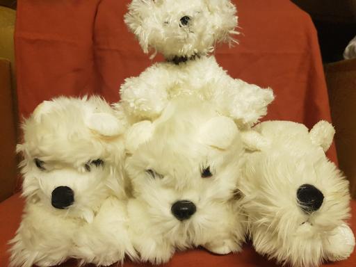 Buy & Sell Nottinghamshire Ashfield - Photos for Soft toys 4 x dogs