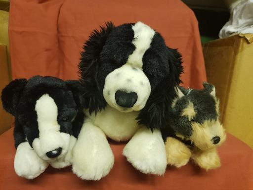 Buy & Sell Nottinghamshire Ashfield - Photos for Soft toys 3 x dogs