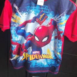 BRAND NEW - With Tags. In excellent/mint condition.
Never been used before.
Size: 9-10 Years Old
Comes with short sleeve Spiderman top & pyjama bottoms.
Perfect for the summer/all year round.
Collection only.
Can post if postage costs are covered.