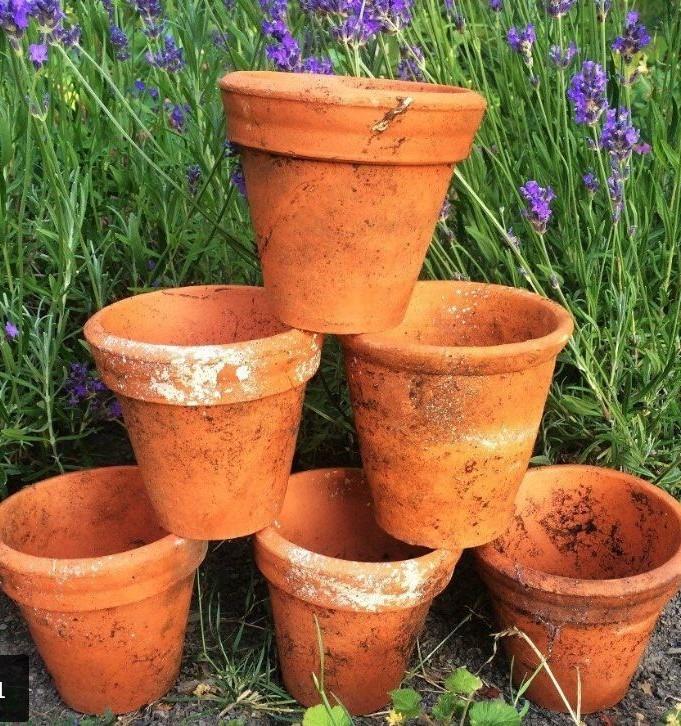14 VICTORIAN TERRACOTTA CLAY 3" PLANT POTS in TN2 Wells für £ 16,00 zum
