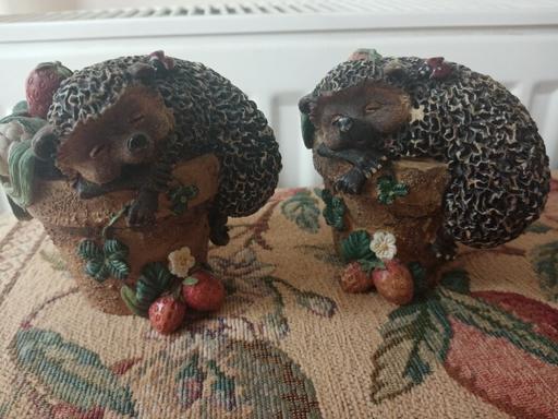 Buy & Sell West Midlands Dudley - Photos for Collectable 'Bramble & Clover'