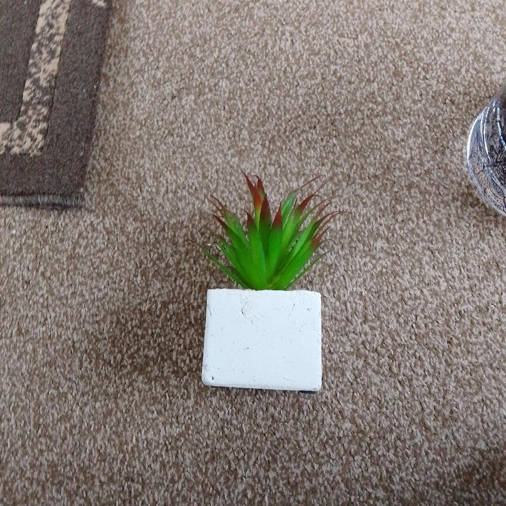 artificial succulent. great little gift only a pound