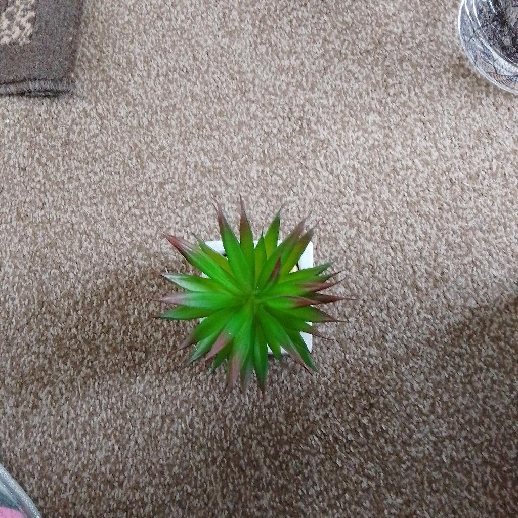 artificial succulent. great little gift only a pound