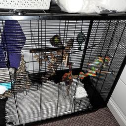 Large wire cage
Great condition
Used to house two rats.
Full roof opening and two drop down hatches.
Selling as a bundle
Including food bowl, bottles, feeding bell,
Cargo net and rope.
Full bag of rat nuggets and almost full bedding bag.
Open to sensible offers