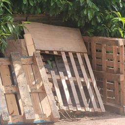 have around 6/7 pallets available for free. collection only