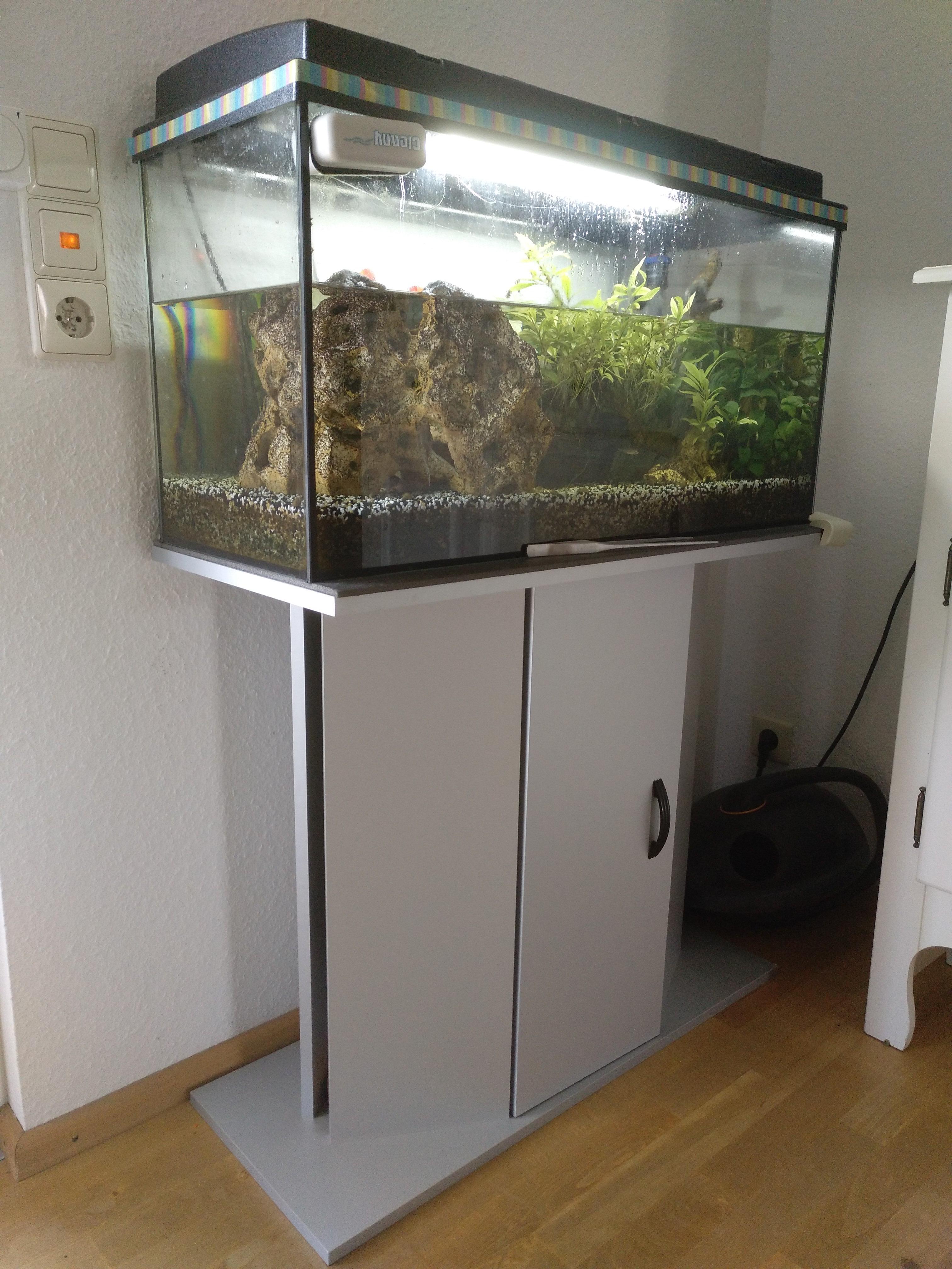 Aquarium zu verschenken in 79206 Breisach am Rhein for free for sale
