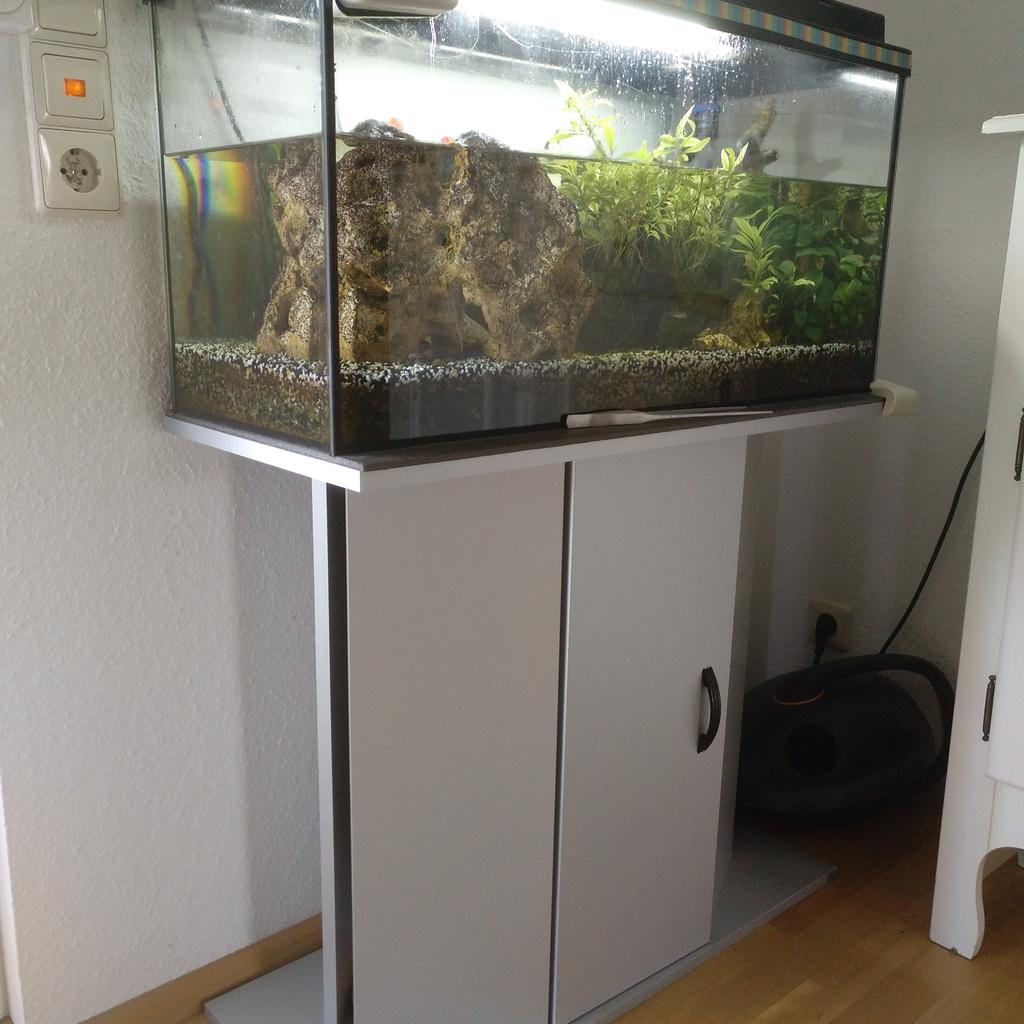 Aquarium zu verschenken in 79206 Breisach am Rhein for free for sale