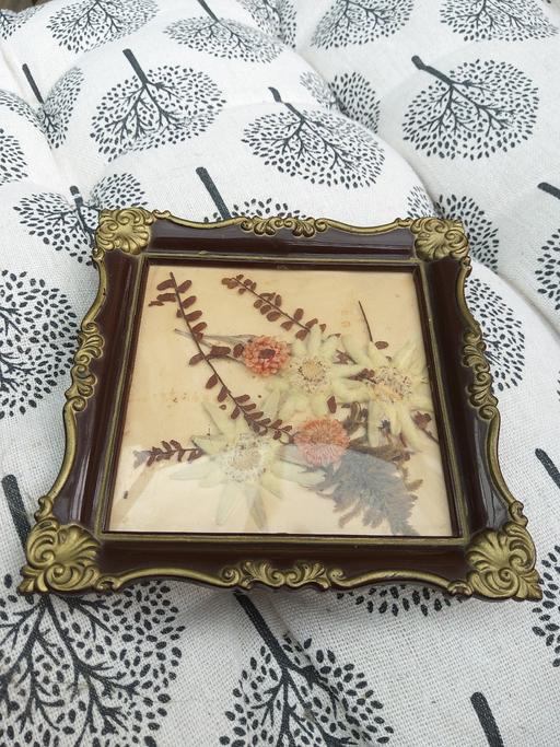 Buy & Sell South East London Blackfen - South East London - Photos for Vintage Dried Flower Picture