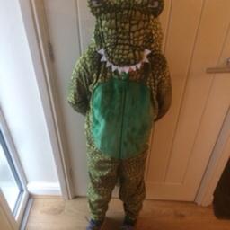 Crocodile onzie age 9-10 in great condition only worn a few times was a great world book day costume as well as pjs,
 Collection only