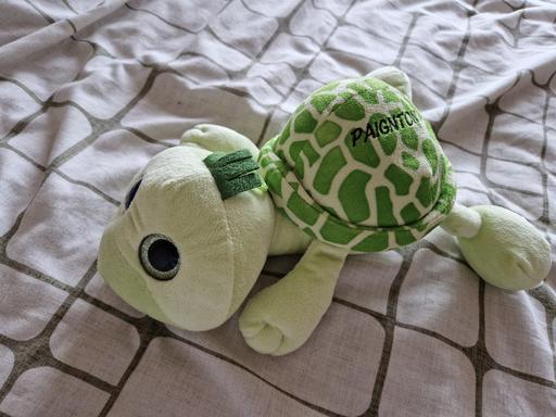 Buy & Sell West Midlands Birmingham - Photos for turtle